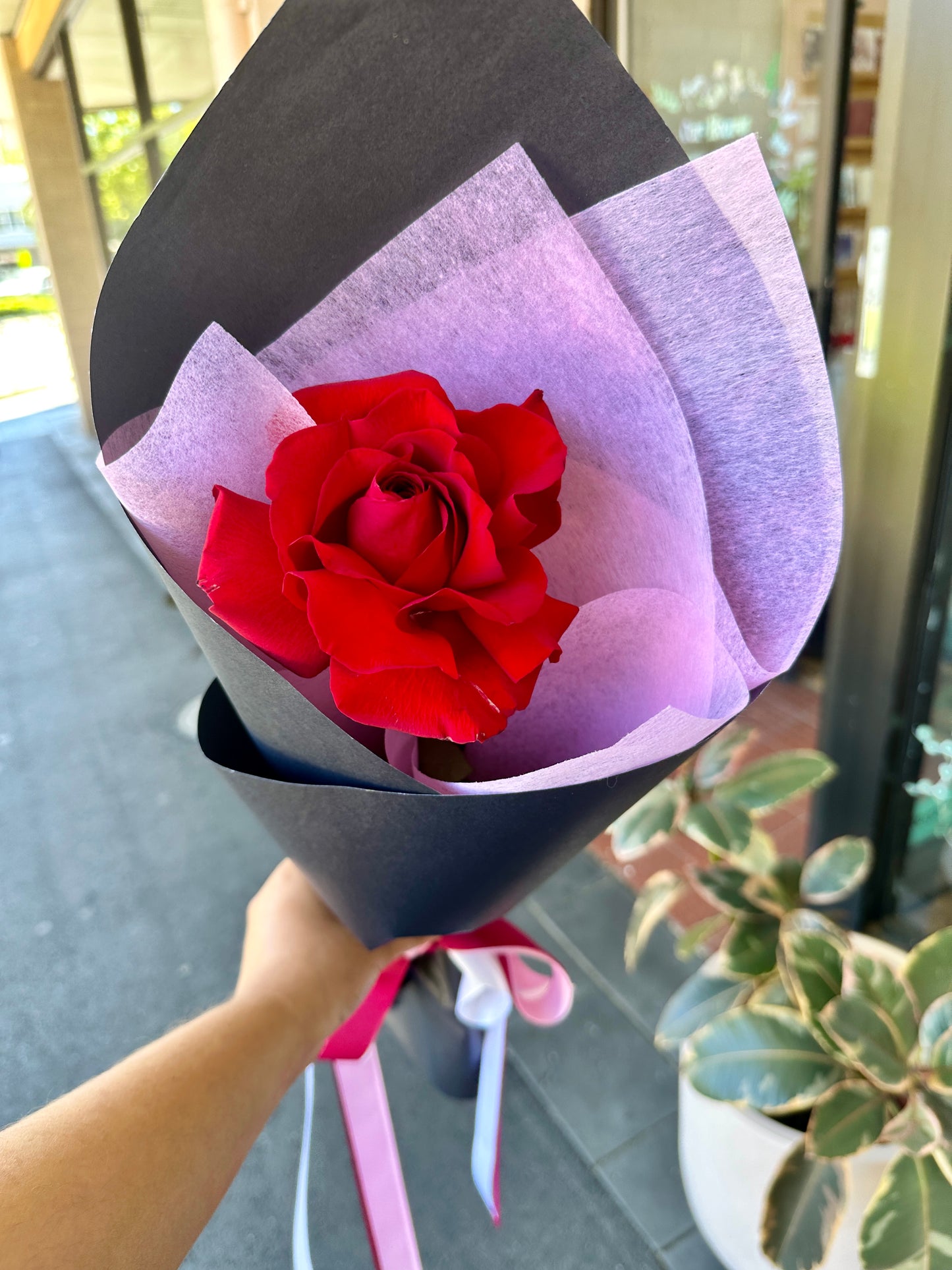 Premium Single Rose