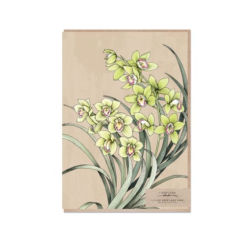 Cymbidium Orchid Greeting Card