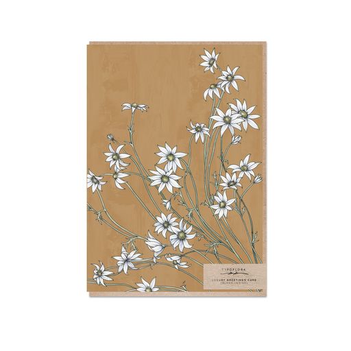 Flannel Flower Greeting Card
